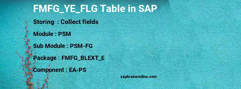 SAP FMFG_YE_FLG table