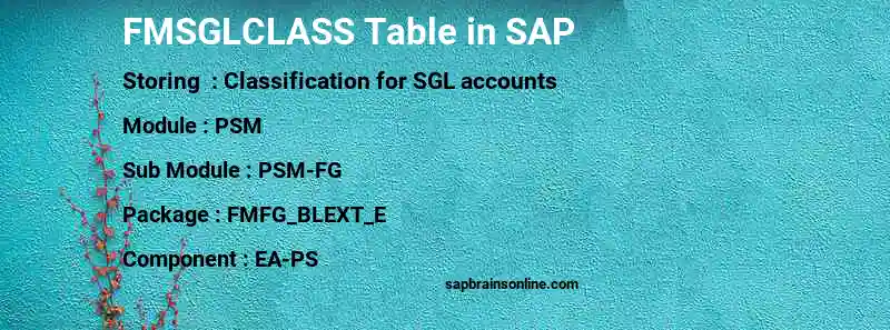 SAP FMSGLCLASS table