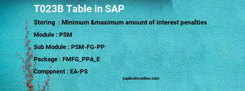 SAP T023B table