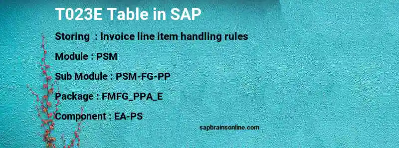 SAP T023E table