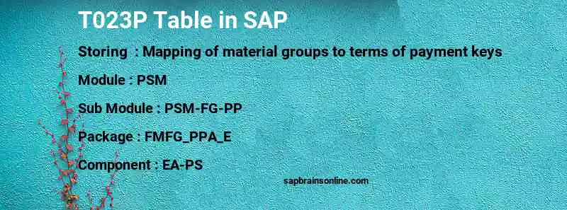 SAP T023P table