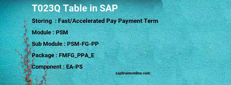 SAP T023Q table