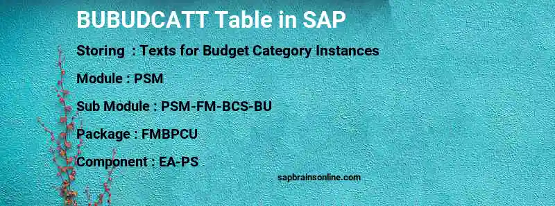 SAP BUBUDCATT table