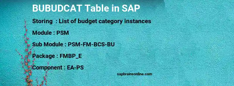 SAP BUBUDCAT table