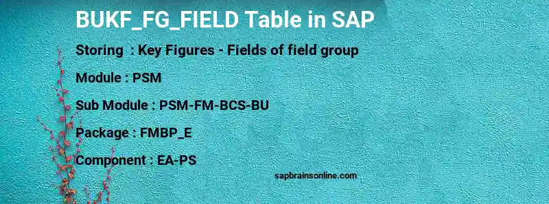 SAP BUKF_FG_FIELD table