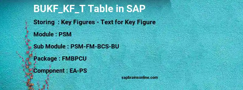 SAP BUKF_KF_T table