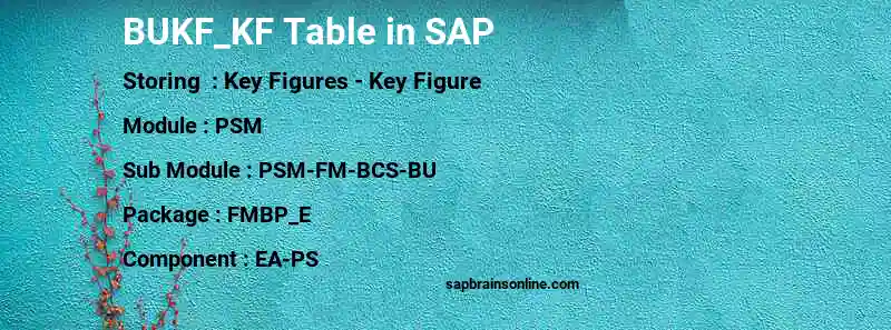 SAP BUKF_KF table