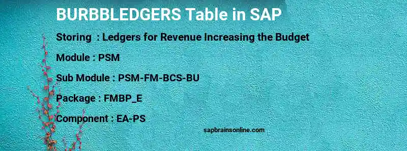 SAP BURBBLEDGERS table