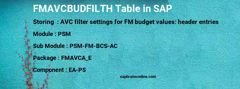 SAP FMAVCBUDFILTH table