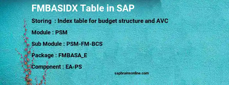 SAP FMBASIDX table