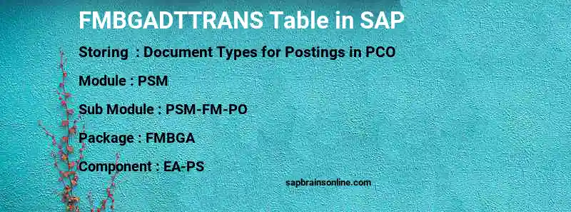 SAP FMBGADTTRANS table