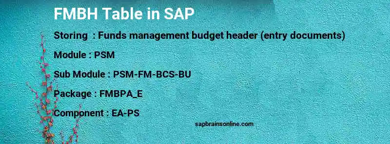 SAP FMBH table