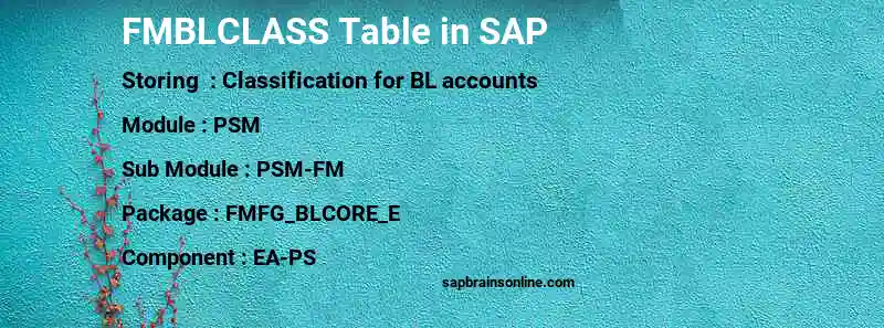 SAP FMBLCLASS table