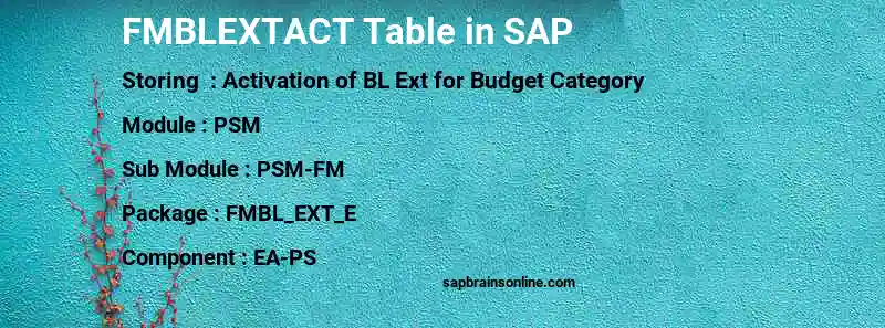 SAP FMBLEXTACT table