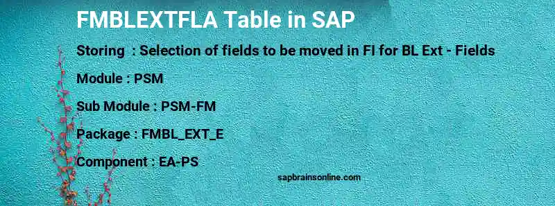SAP FMBLEXTFLA table