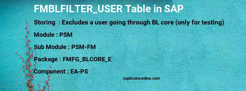 SAP FMBLFILTER_USER table