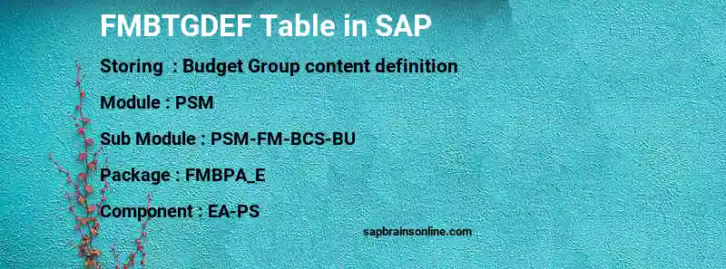 SAP FMBTGDEF table