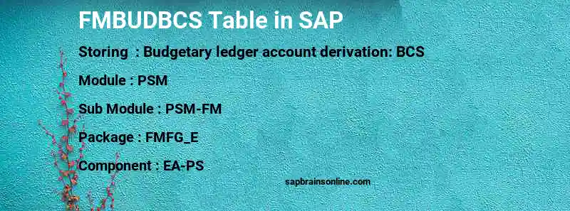 SAP FMBUDBCS table