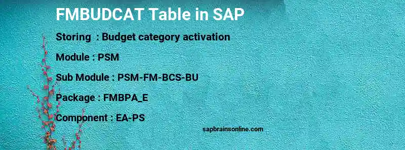 SAP FMBUDCAT table