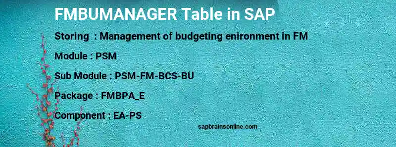 SAP FMBUMANAGER table