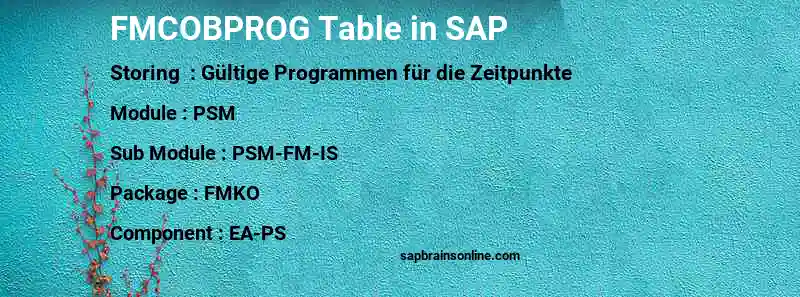 SAP FMCOBPROG table
