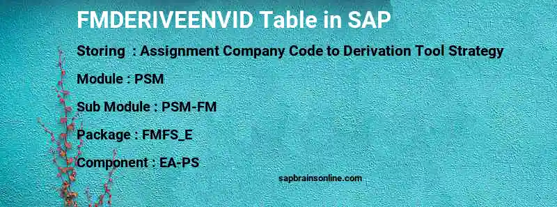 SAP FMDERIVEENVID table