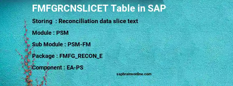 SAP FMFGRCNSLICET table
