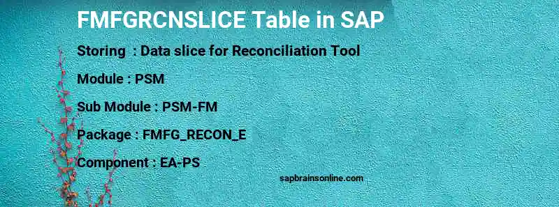 SAP FMFGRCNSLICE table