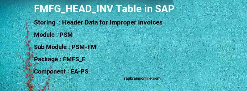 SAP FMFG_HEAD_INV table
