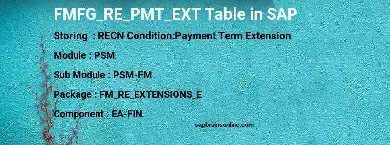 SAP FMFG_RE_PMT_EXT table