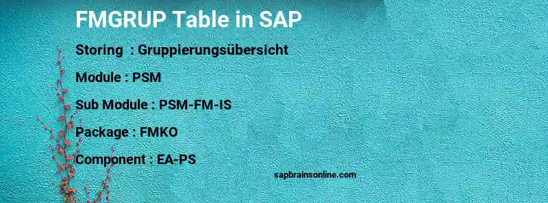 SAP FMGRUP table