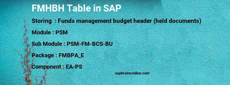 SAP FMHBH table