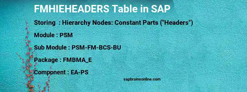 SAP FMHIEHEADERS table