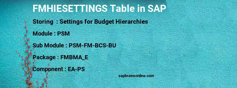 SAP FMHIESETTINGS table