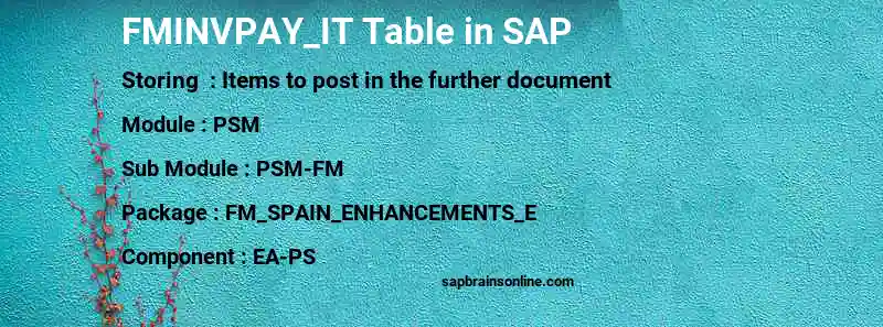 SAP FMINVPAY_IT table