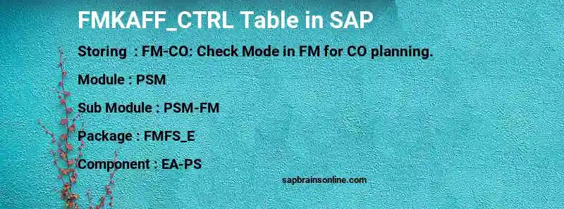 SAP FMKAFF_CTRL table