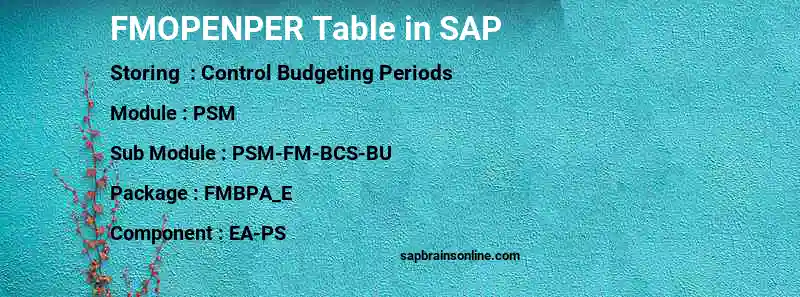 SAP FMOPENPER table