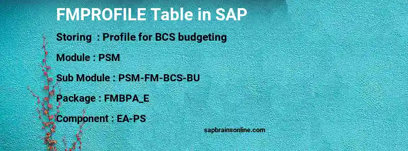 SAP FMPROFILE table