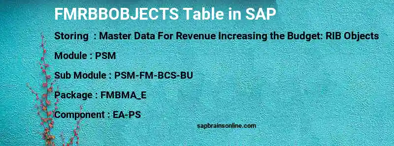 SAP FMRBBOBJECTS table