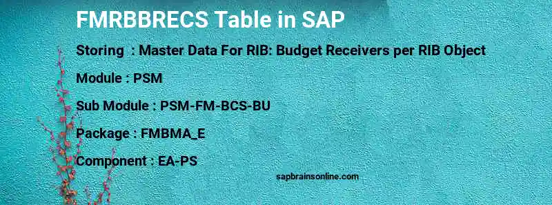 SAP FMRBBRECS table