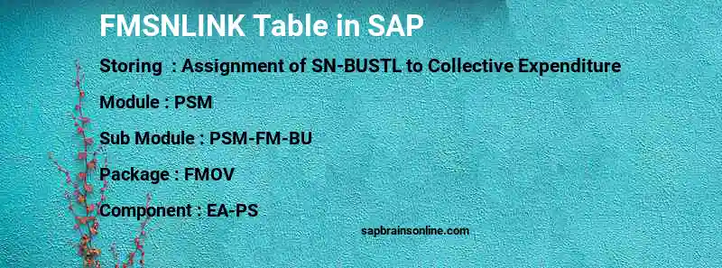 SAP FMSNLINK table