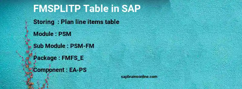 SAP FMSPLITP table
