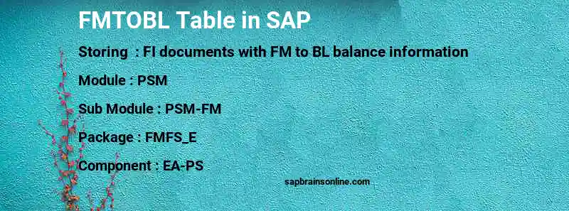 SAP FMTOBL table