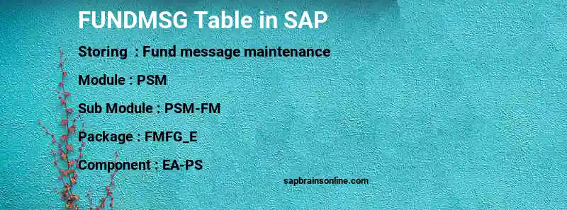 SAP FUNDMSG table