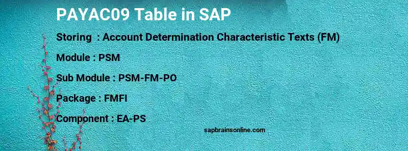 SAP PAYAC09 table