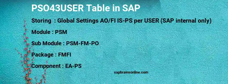 SAP PSO43USER table