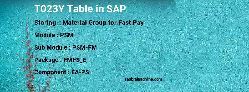 SAP T023Y table