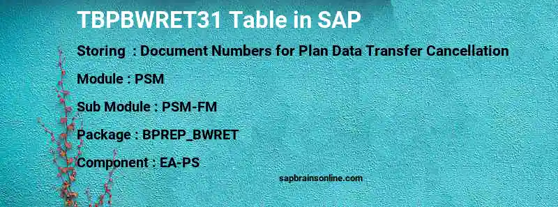 SAP TBPBWRET31 table