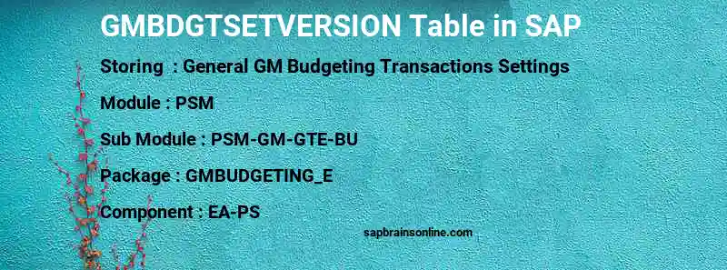 SAP GMBDGTSETVERSION table