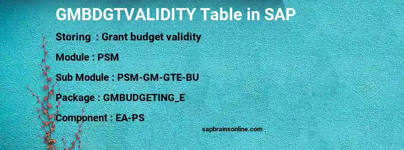 SAP GMBDGTVALIDITY table
